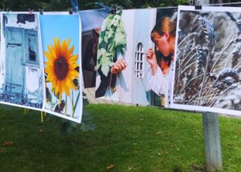 Картина фотохудожника за донат на ЗСУ: у День Конституції у Львові провели благодійну виставку (фото)