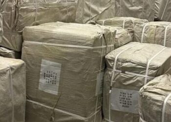 На польському кордоні викрили 58-річного водія, який хотів незаконно перевезти понад 3 тонни жіночих сумок – Надзвичайні події