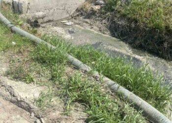 На Золочівщині виявили забруднення земель стічними водами — Львівщіна