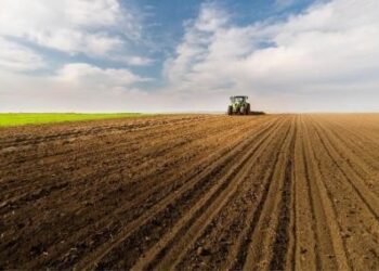 Посівна на Львівщині змістилася | Львів