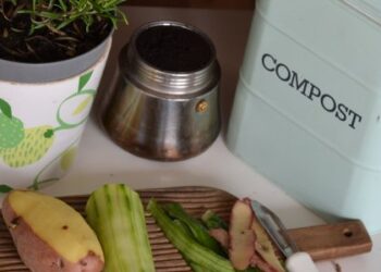 Що викидати у контейнери для органічних відходів: пояснення та мапа розташування баків у Львові