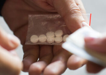 23-річного мешканця Стрийщини підозрюють у продажі наркотиків – Надзвичайні події