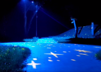 Алею у київському парку підсвітили зорями