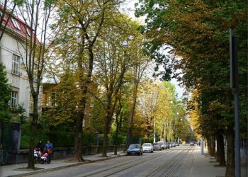 Архітектура та історія Франківського району. Львів’ян кличуть на безкоштовний квест