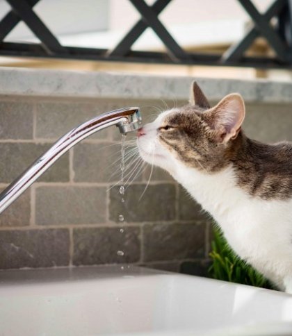 Частина Бродів буде без води: перелік вулиць