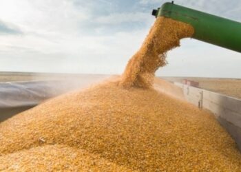 Якими можуть бути наслідки розірвання «зернової угоди» для України та світу