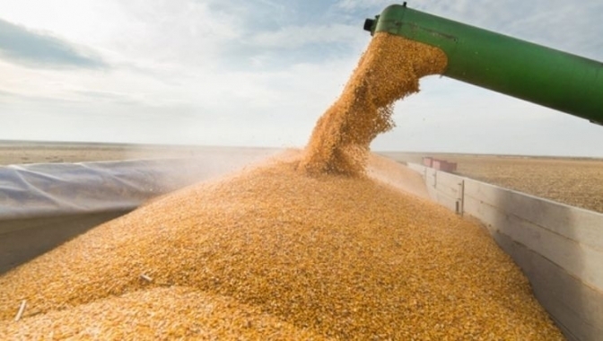 Фото умовне