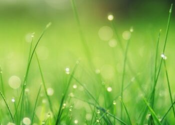 Короткочасні дощі та грози: якою буде погода на Львівщині 22 липня — Львівщіна