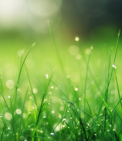 Короткочасні дощі та грози: якою буде погода на Львівщині 22 липня