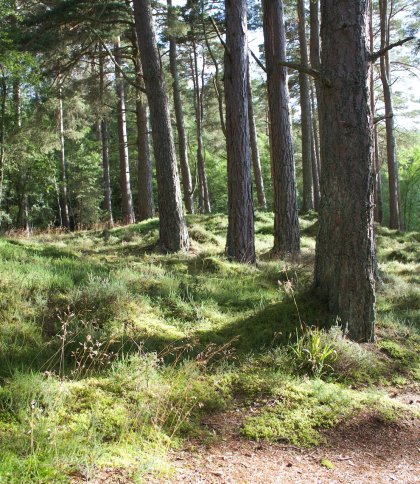 Куди піти на Львівщині 29 та 30 липня: афіша подій 