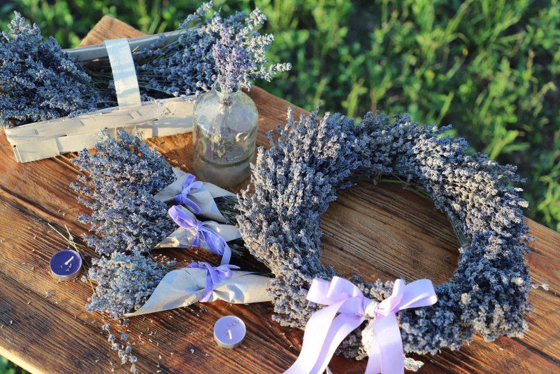 Фото: Поле щастя у Facebook