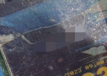 Мав ознаки наркосп’яніння: у Львові зупинили водія, який перевищив швидкість – Надзвичайні події