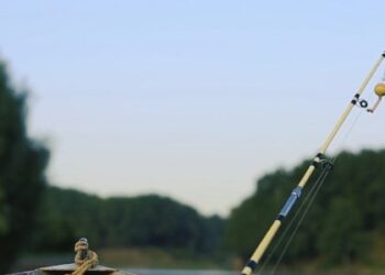 На Дрогобиччині заборонили ловити рибу: причина — Львівщіна