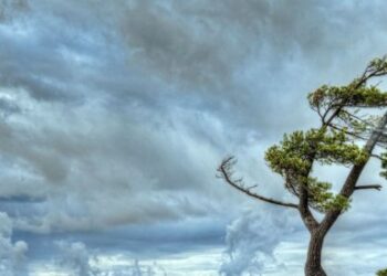 На Львівщині прогнозують погіршення погоди — Львівщіна