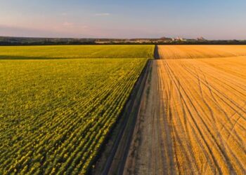 На Львівщині відбудуться електронні земельні торги — Львівщіна