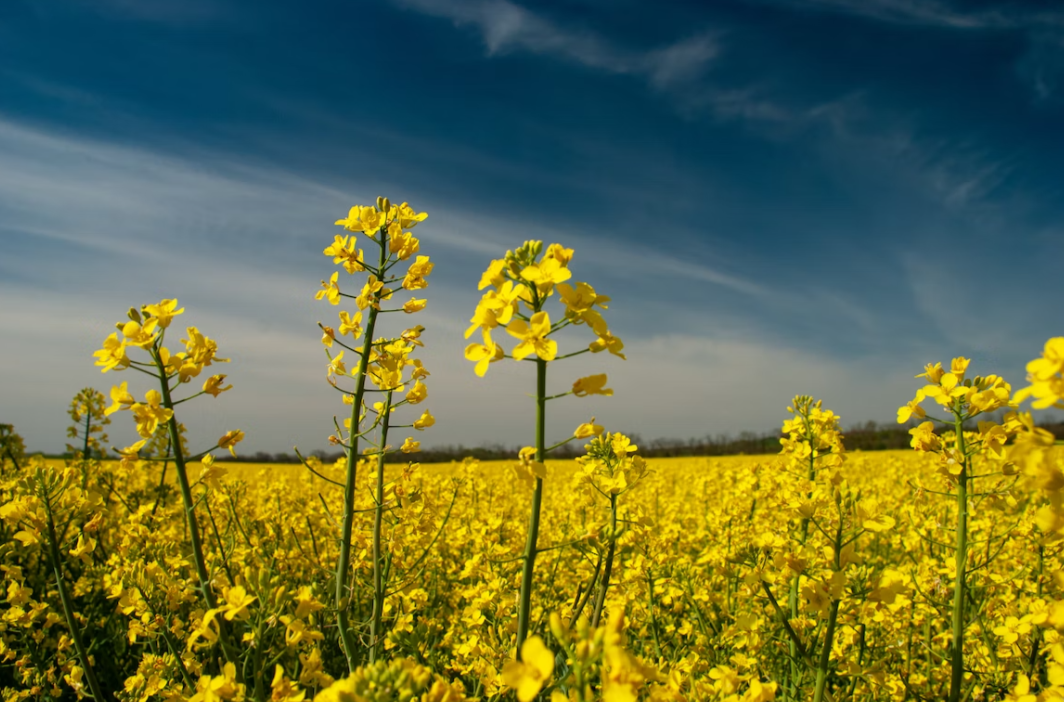 Фото умовне / Unsplash
