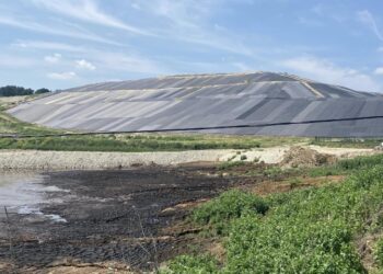 На місці Грибовицького сміттєзвалища планують створити мінізоопарк і дитмайданчики