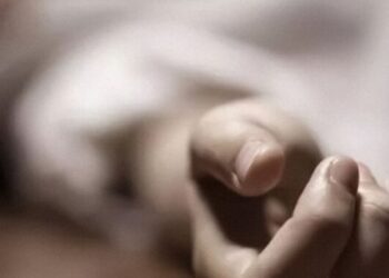 На Стрийщині 49-річний чоловік вбив зятя за вечерею – Надзвичайні події