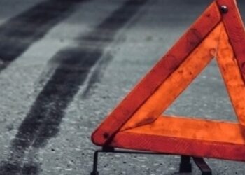 На Стрийщині затримали водія, який збив на смерть 16-річну дівчину і втік – Надзвичайні події