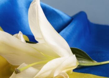 Під Бахмутом загинув молодий воїн зі Львівщини — Львівщіна