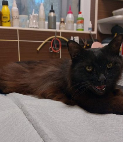 Фото - Facebook/Оксана Кошак