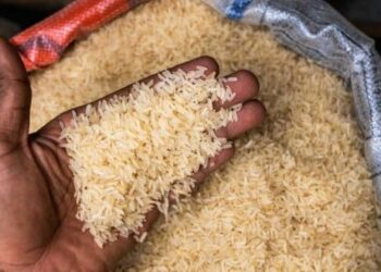 Рішення Індії може спровокувати зростання цін на рис – Світ