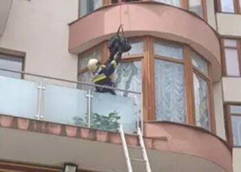 Рятувальники протягом 30 липня тричі виїжджали на порятунок тварин — Львівщіна