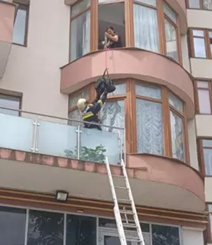 Рятувальники протягом 30 липня тричі виїжджали на порятунок тварин