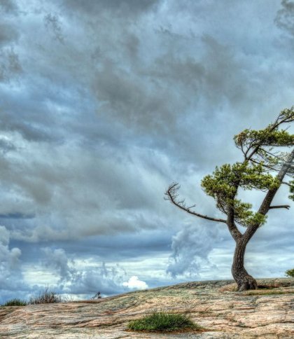Шквали та грози: якою буде погода на Львівщині 19 липня