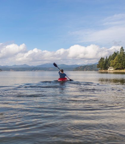 Сім’ї військових запрошують на одноденні сплави на байдарках поблизу Львова: як зареєструватись