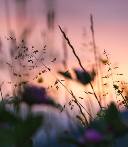 Тепло та без істотних опадів: якою буде погода на Львівщині 29 липня