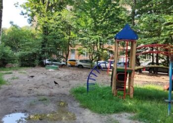 Труби та обрізане гілля, яке лежить пів року: львів’янка просить навести лад на дитячому майданчику