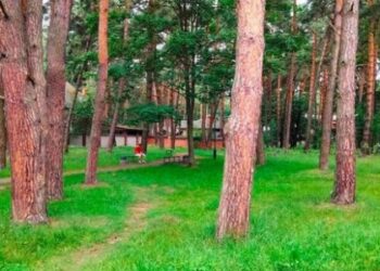 У Брюховичах хочуть створити новий сквер імені Івасюка