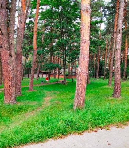 У Брюховичах хочуть створити новий сквер імені Івасюка