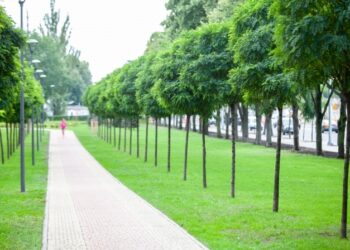 У Дарницькому районі Києва замість парковки облаштують новий сквер