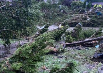 У ДСНС розповіли, що могло привезти до масштабної повені на Львівщині — Львівщіна