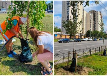У Києві почали тестувати торби для поливу дерев. Як працюватимуть