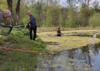 У львівському парку «Знесіння» чистять ставок: у чому складність та особливість робіт