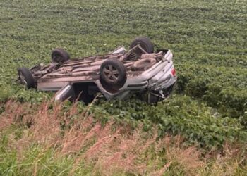 Вилетів на узбіччя та перекинув авто: на Львівщині сталась ДТП, є загиблий — Львівщіна
