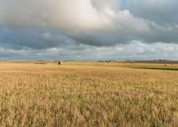 Збитки на 18 млн гривень: на Львівщині фермер постраждав від прориву дамби