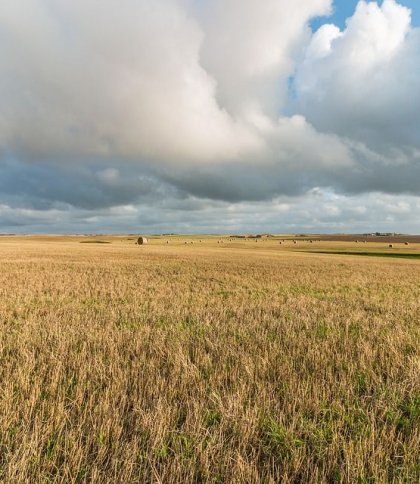 Збитки на 18 млн гривень: на Львівщині фермер постраждав від прориву дамби
