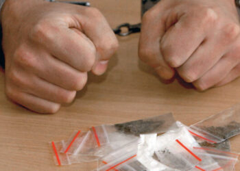 Збував закладки у парку Рави-Руської: 25-річного зловмисника триматимуть під вартою – Надзвичайні події