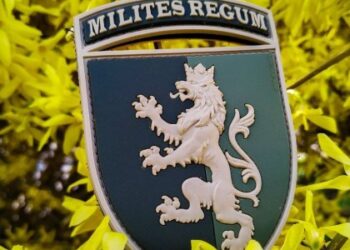 Зеленський відзначив королівську бригаду зі Львова: деталі