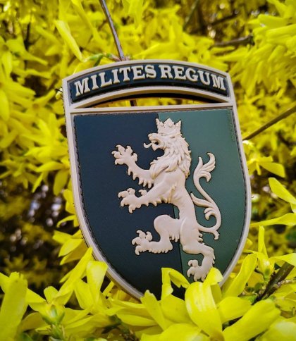 Зеленський відзначив королівську бригаду зі Львова: деталі