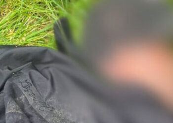 Житель Чернівців зарізав 37-річну жінку в лісі у Винниках – Надзвичайні події