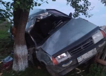З’їхав з дороги та влетів у дерево: на Львівщині сталась ДТП, є загиблий — Львівщіна