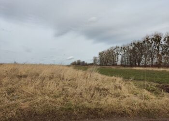 Біля Львова на аукціоні продали дві земельні ділянки. Що планують збудувати