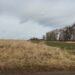 Біля Львова на аукціоні продали дві земельні ділянки. Що планують збудувати