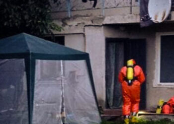 Четверо людей на Львівщині померли від отруєння випарами з картоплі – Надзвичайні події