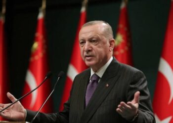 Ердоган запропонує Путіну зупинити вогонь в Україні – Світ